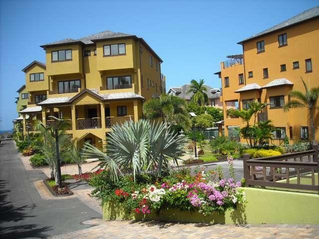 Alexanders Penthouse On The Beach Ocho Rios Exteriör bild