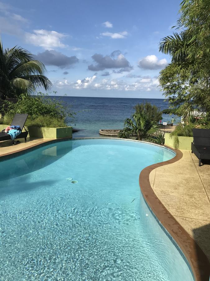 Alexanders Penthouse On The Beach Ocho Rios Exteriör bild